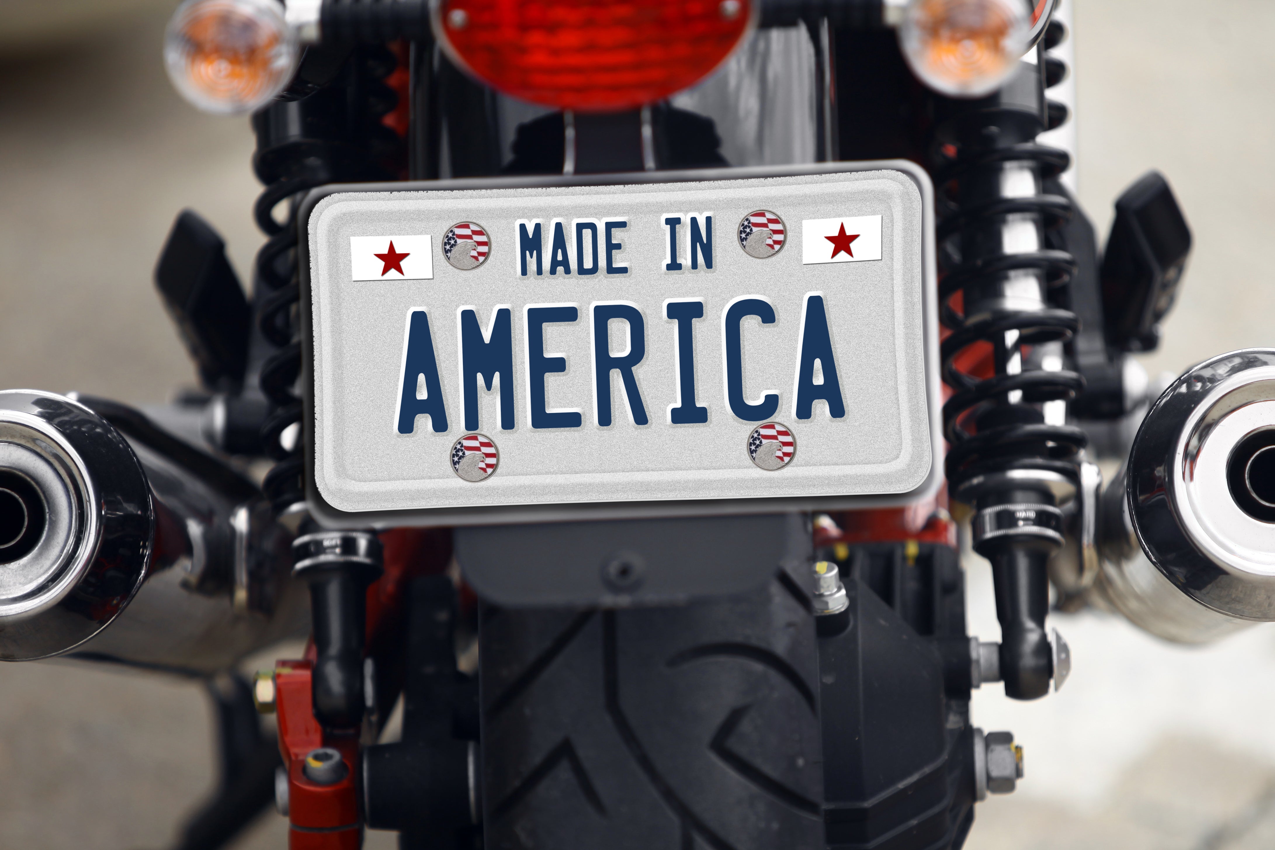 American Flag Eagle Motorcycle License Plate Bolts
