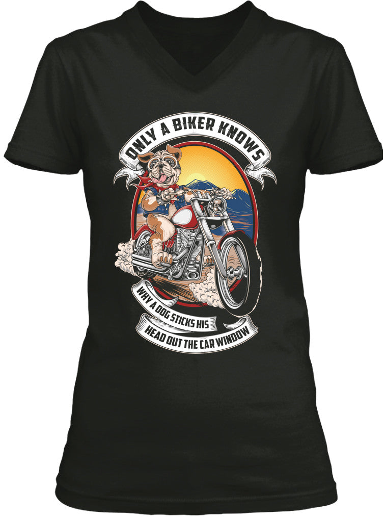 Only A Biker Knows Why A Dog Sticks His Head Out (Ladies)