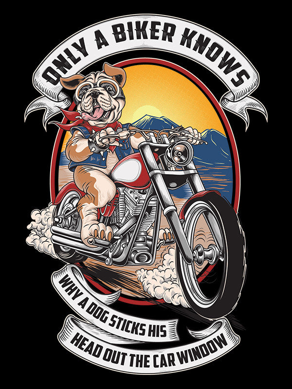 Only A Biker Knows Why A Dog Sticks His Head Out (Ladies)